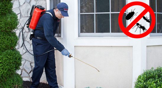 Günyüzü Kene İlaçlama böcek ilaçlama ve haşere kontrolü — ilaclama-tr.com